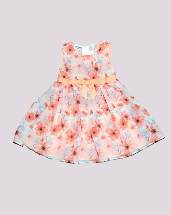 BLUEBER Frock