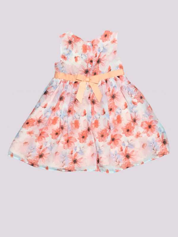 BLUEBER Frock - Image 2
