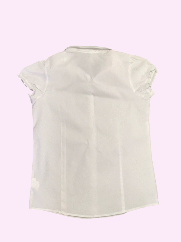 IZOD Top Dress Shirt - Image 2