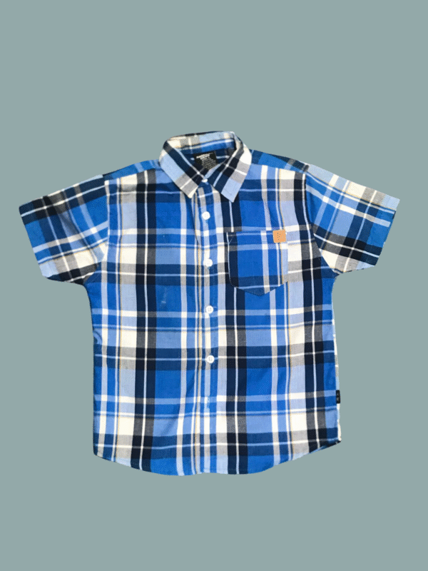 AMERICAN HAWKS Multicolor Check Dress Shirt