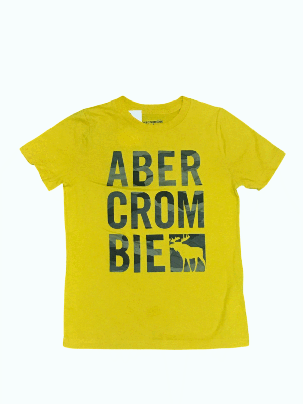 ABERCROMBIE T-Shirt