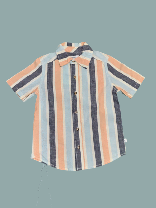 TOMMY BAHAMA Multicolor Dress Shirt