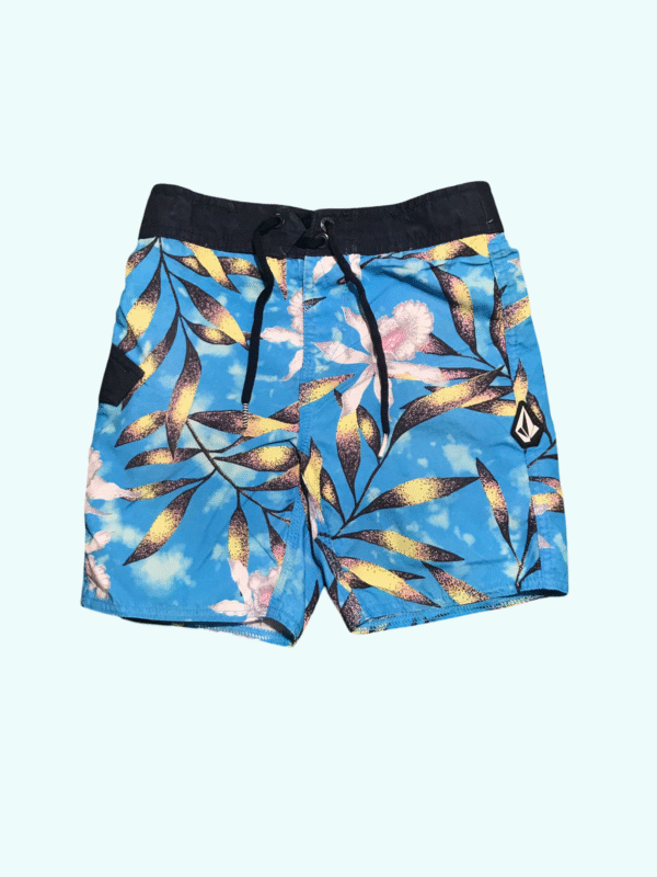 VOLCOM Shorts