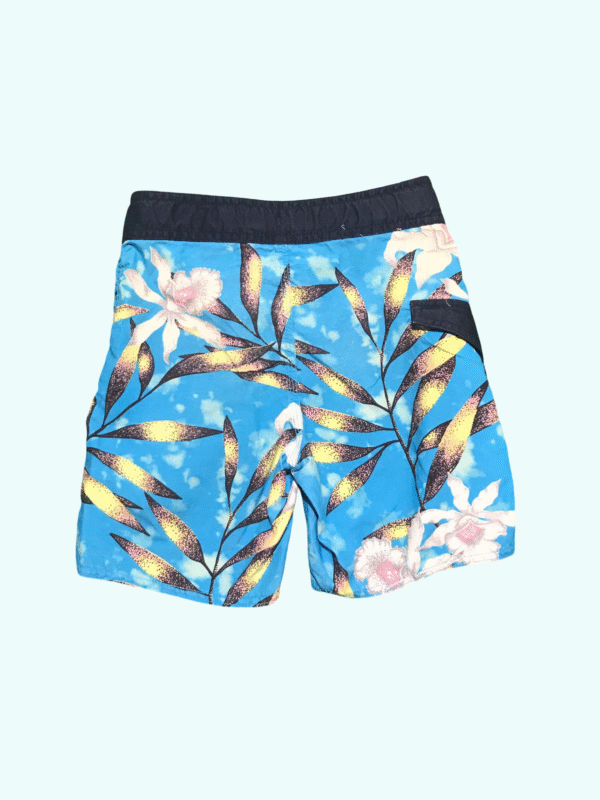 VOLCOM Shorts - Image 2