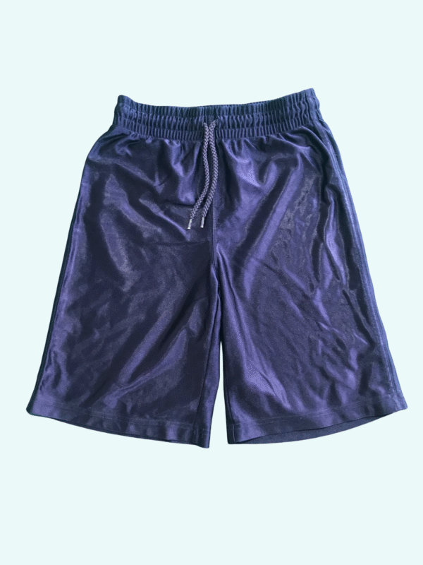 PLACE Shorts