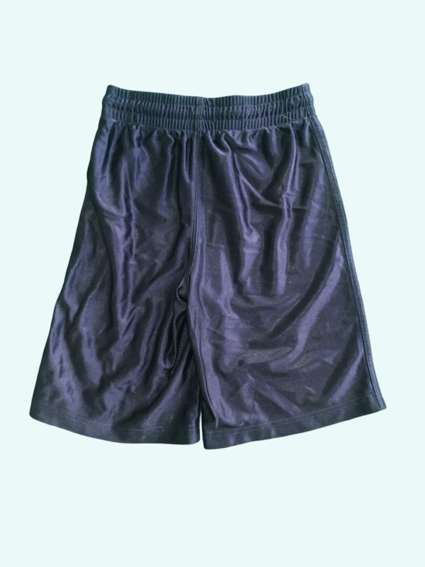 PLACE Shorts - Image 2