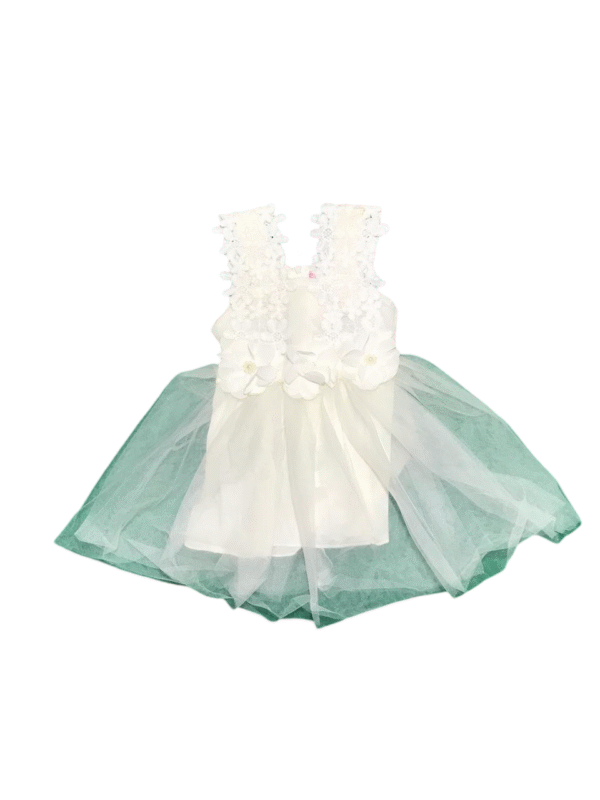 FASHION CLASSI Frock