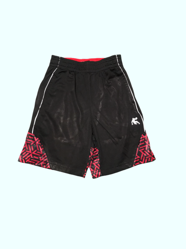 AND 1 Shorts