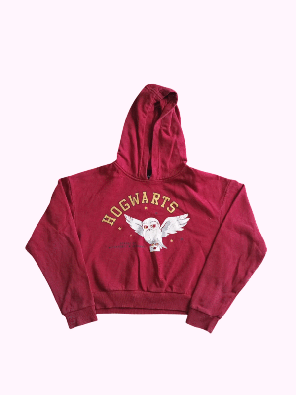 HARRY POTTER Hoodie
