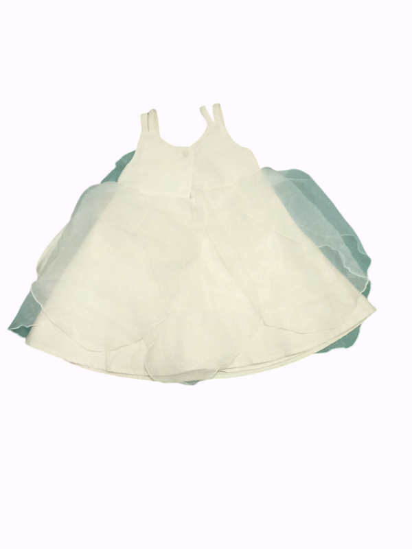 SWEET HEART ROSE Frock