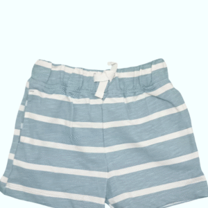 MODERN MOMENTS Shorts