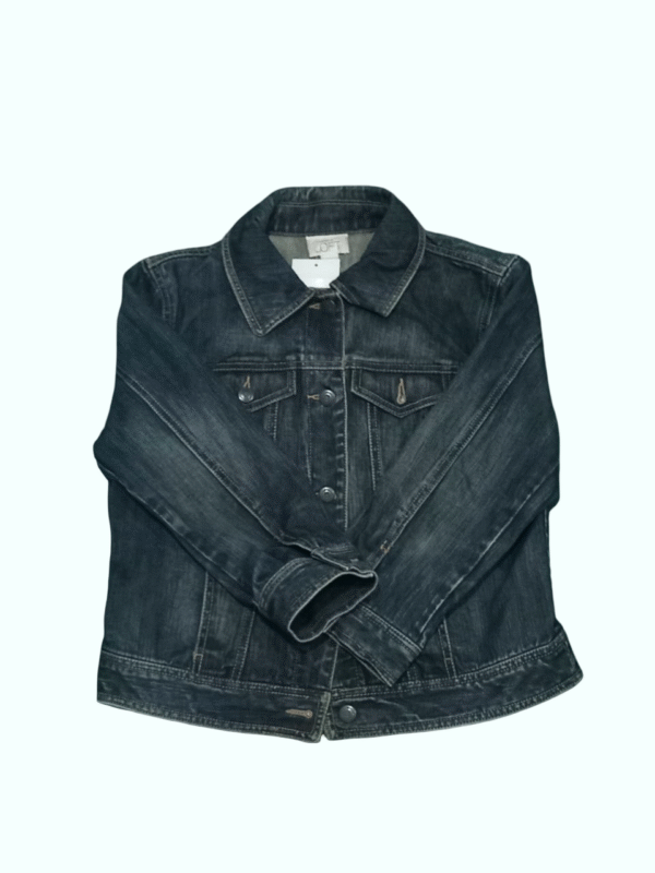ANN TAYLOR LOFT Denim Jacket