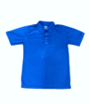 AUTHENTIC SPORTSWEAR Polo Shirt