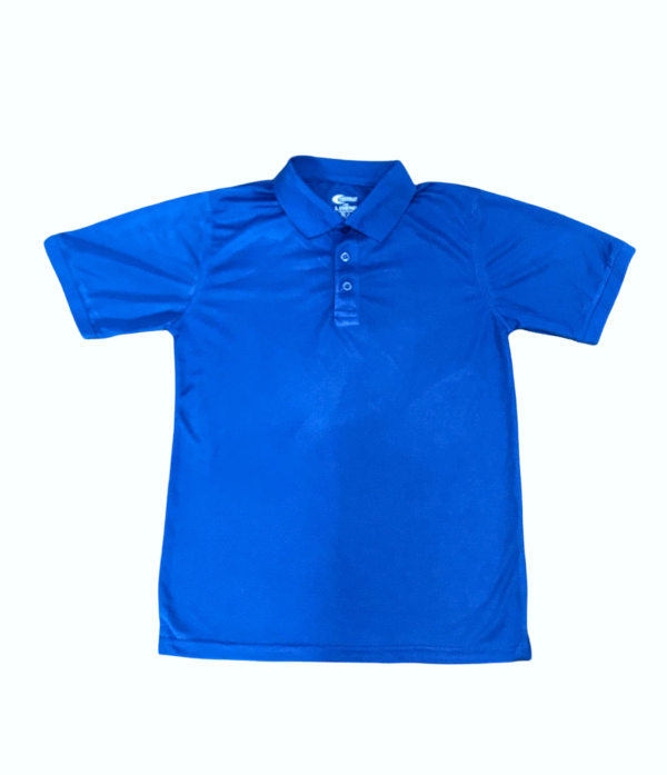 AUTHENTIC SPORTSWEAR Polo Shirt